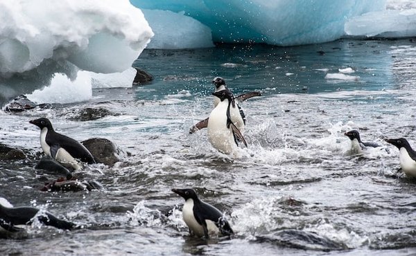 Comment les assurances habitation s'adaptent-elles aux risques climatiques croissants?